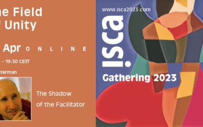 The Shadow of the FC Facilitator